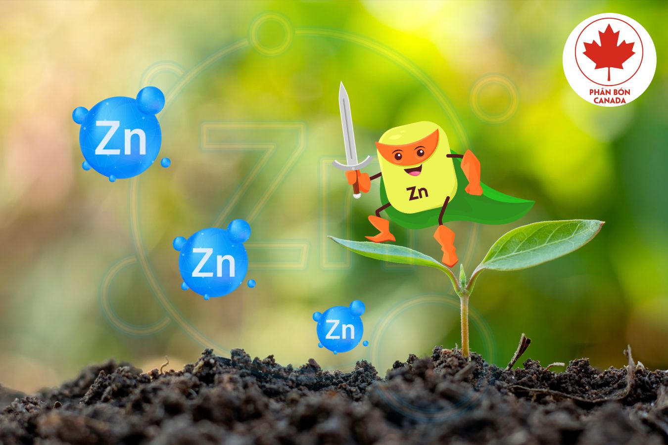 Kẽm và vai trò quan trọng đối với sự phát triển của cây trồng